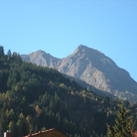 Haus Zerza Daire Dorfgastein Dış mekan fotoğraf