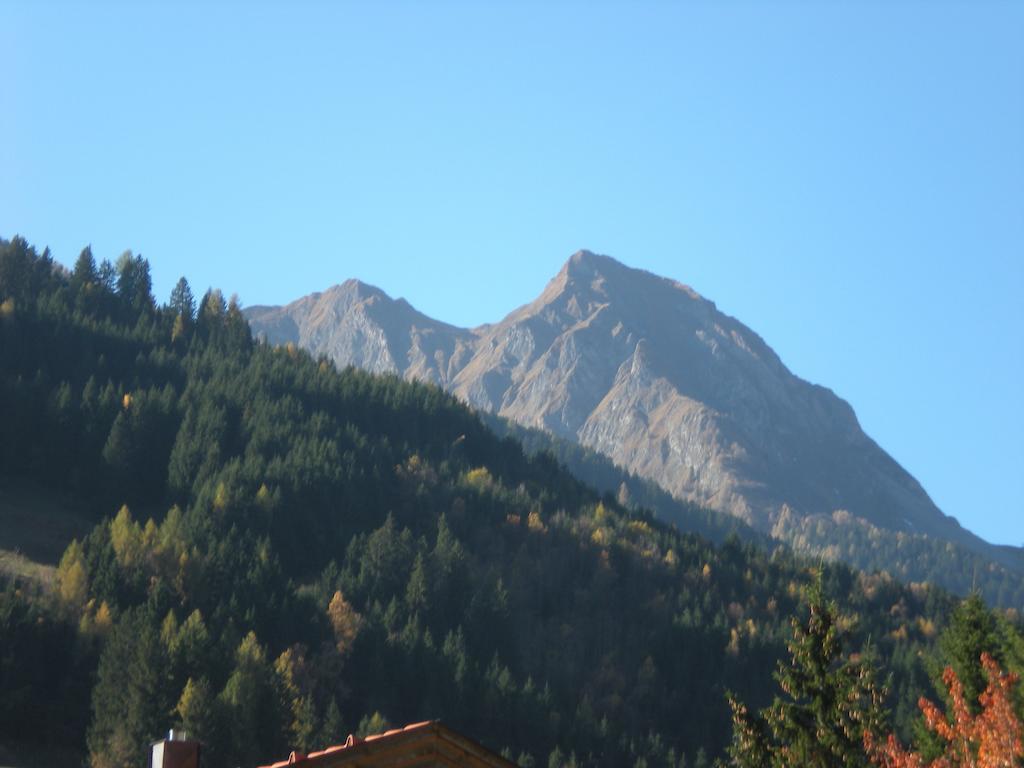 Haus Zerza Daire Dorfgastein Dış mekan fotoğraf